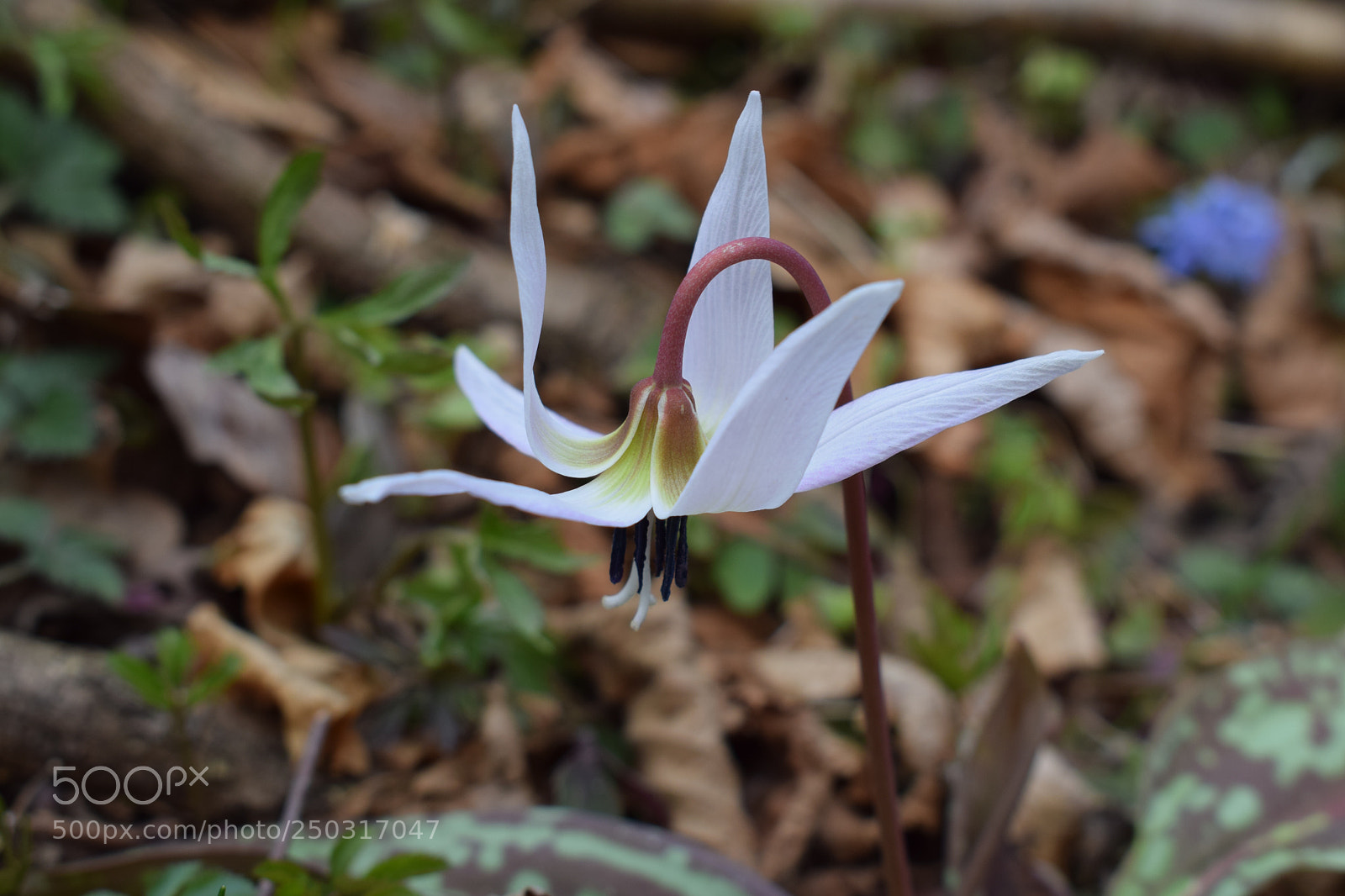 Nikon D3300 sample photo. Untitled photography
