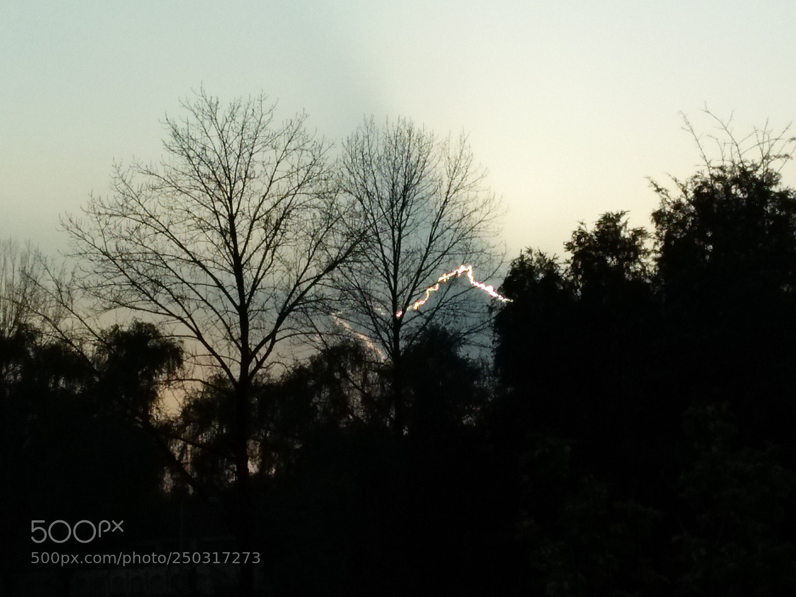 OPPO A37fw-International sample photo. Img photography