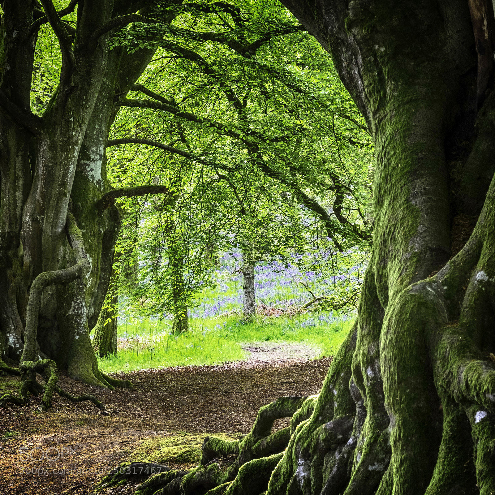 Fujifilm X-T1 sample photo. Through the arch photography