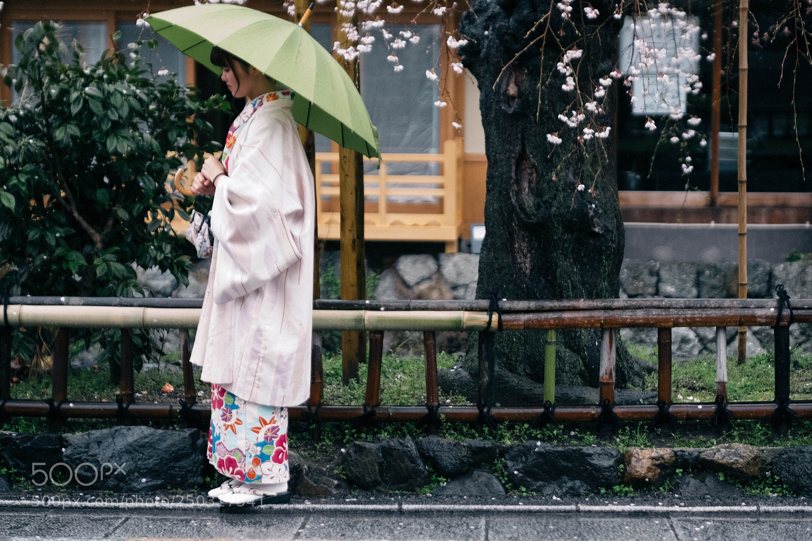 Fujifilm X-Pro2 sample photo. Gionshirakawa, kyoto, japan. photography