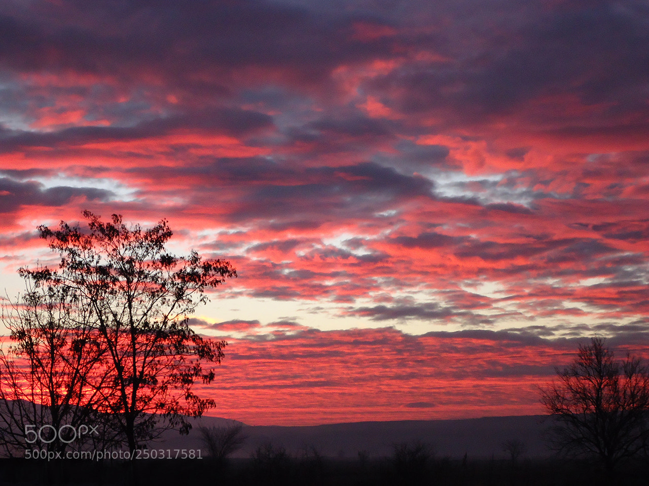 Sony Cyber-shot DSC-W610 sample photo. Crimson dawn photography