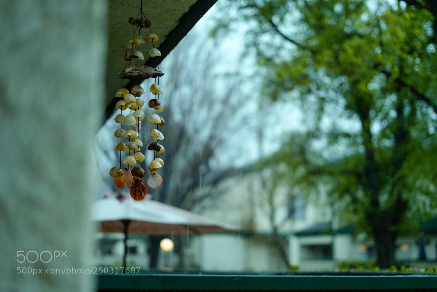 Sony a7R III sample photo. Rain drops photography
