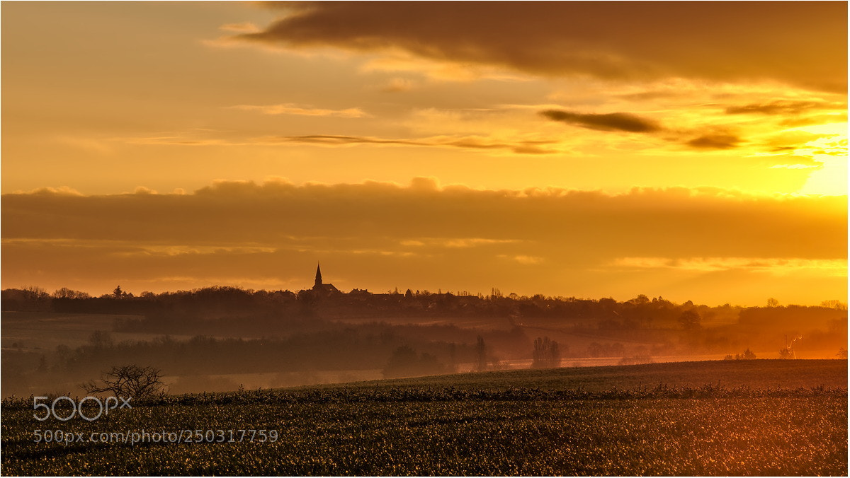 Nikon D90 sample photo. Golden landscape photography