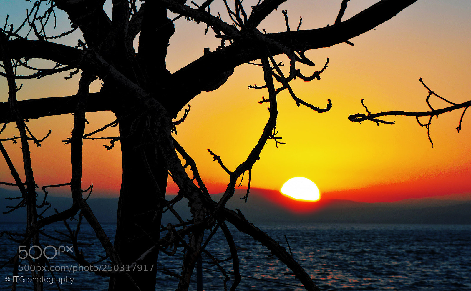 Nikon D5300 sample photo. Sunset through the tree (2) photography