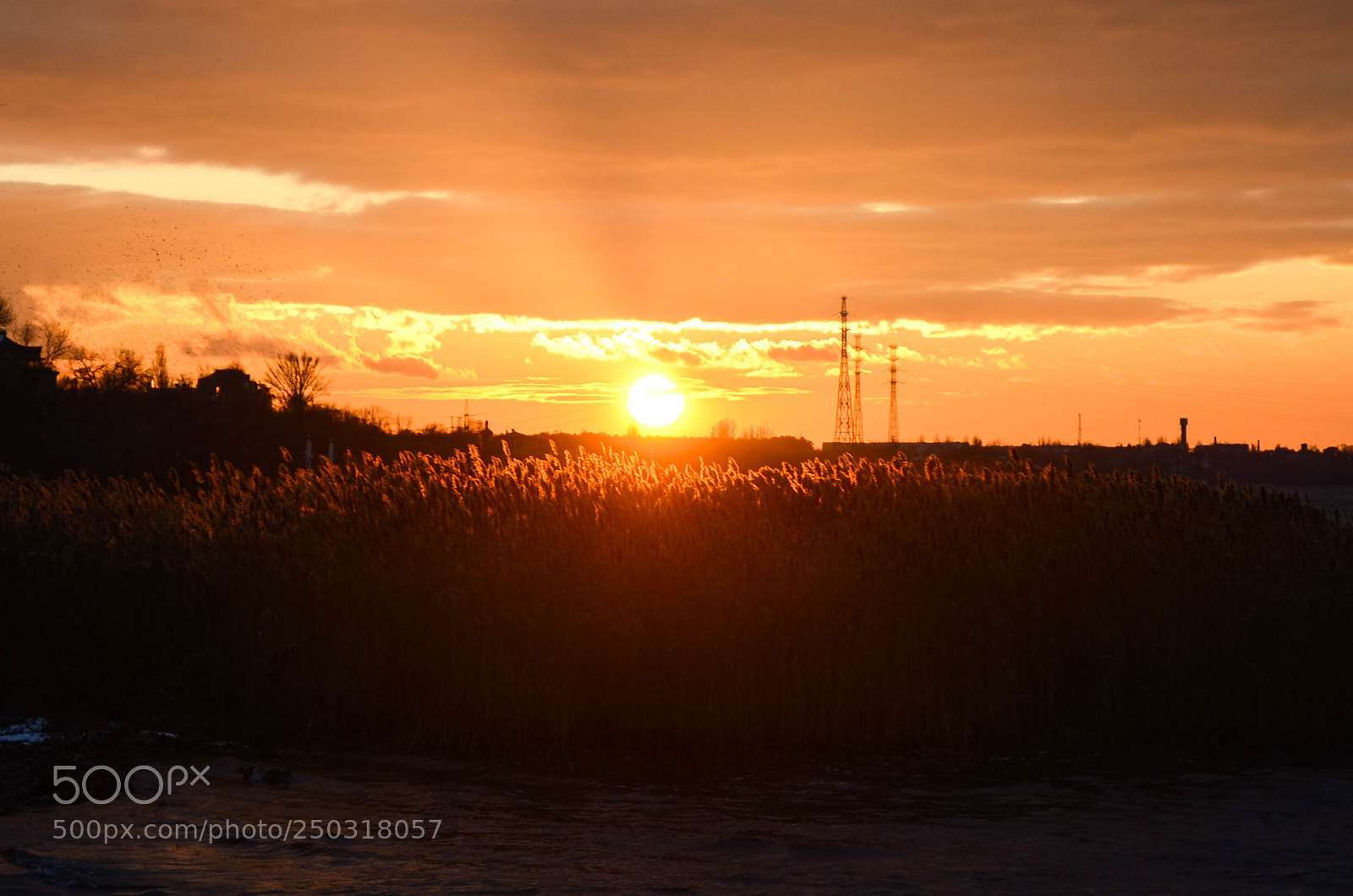 Nikon D5100 sample photo. Закатик photography