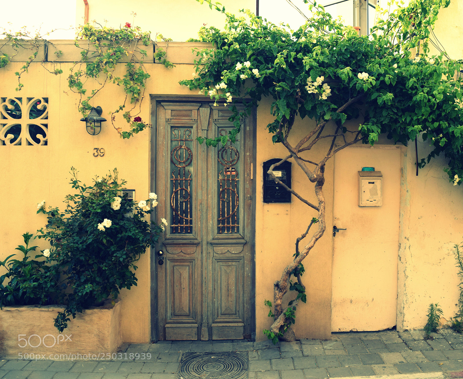 Nikon D3300 sample photo. Lovely neighborhood photography