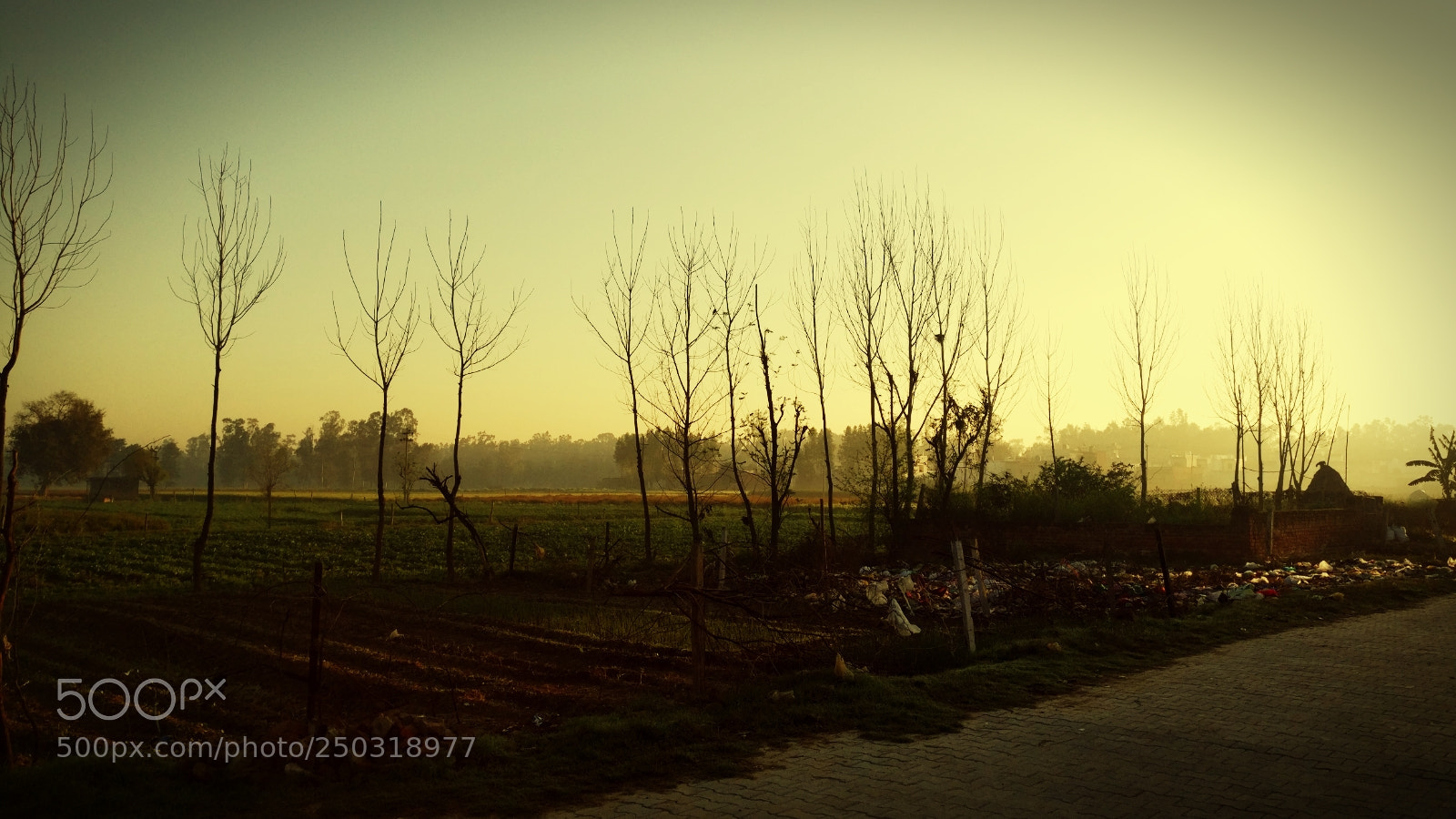 OnePlus A3003 sample photo. Rural india photography