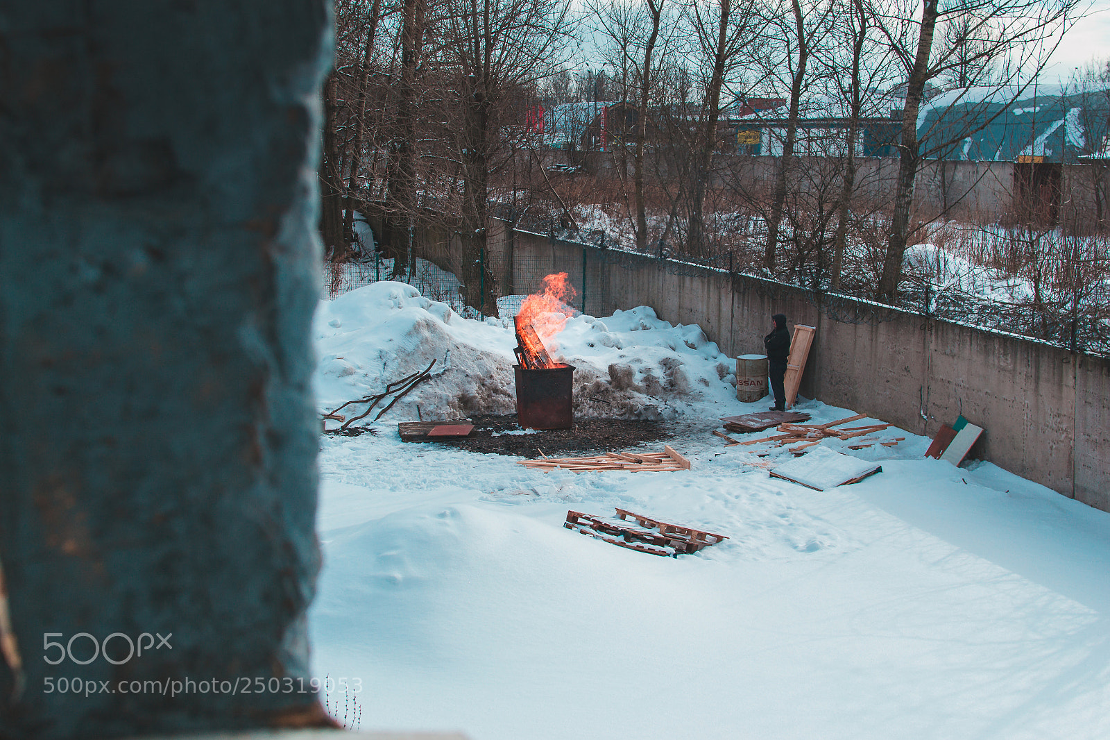 Nikon D3100 sample photo. Blazing in snow photography