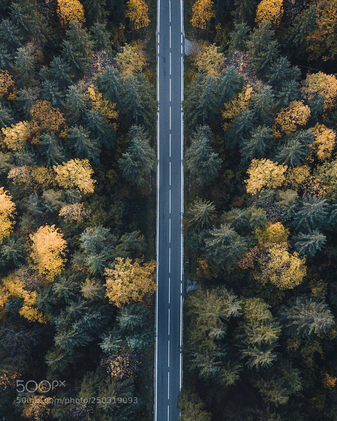 DJI FC220 sample photo. Straight through the woods. photography