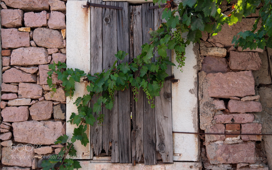 Samsung NX30 sample photo. ... photography