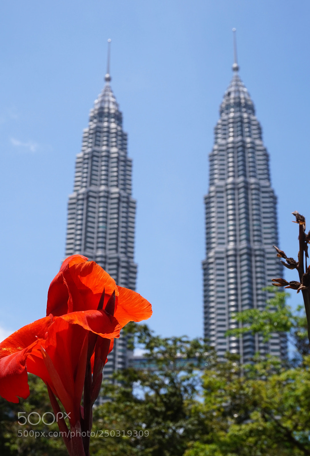 Sony Alpha a5000 (ILCE 5000) sample photo. Petronas twin tower photography