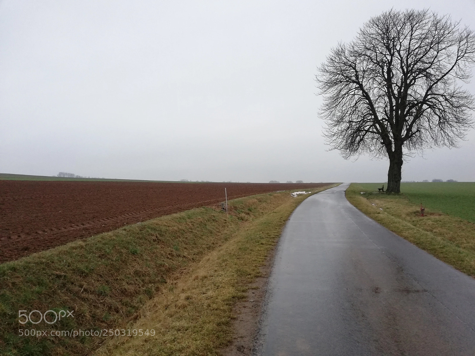 HUAWEI Mate 10 Lite sample photo. Winters end photography