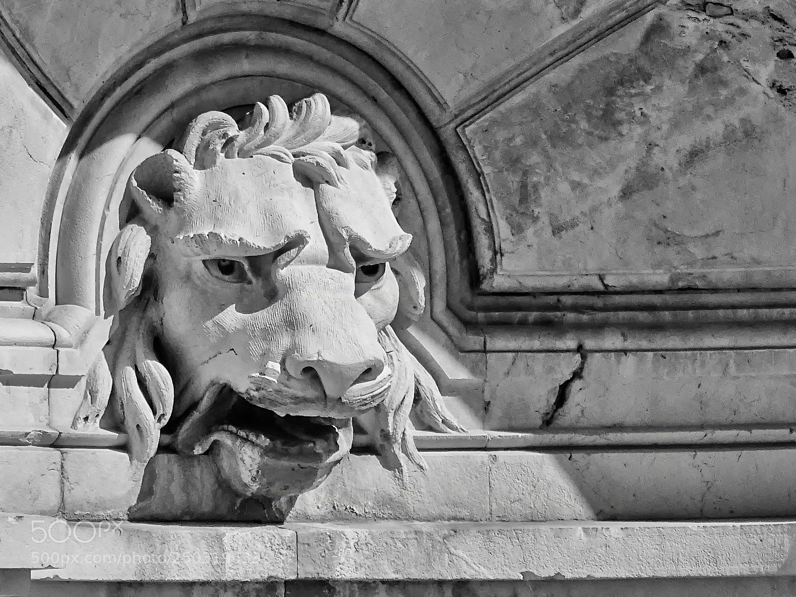 Sony Cyber-shot DSC-HX400V sample photo. Lion photography