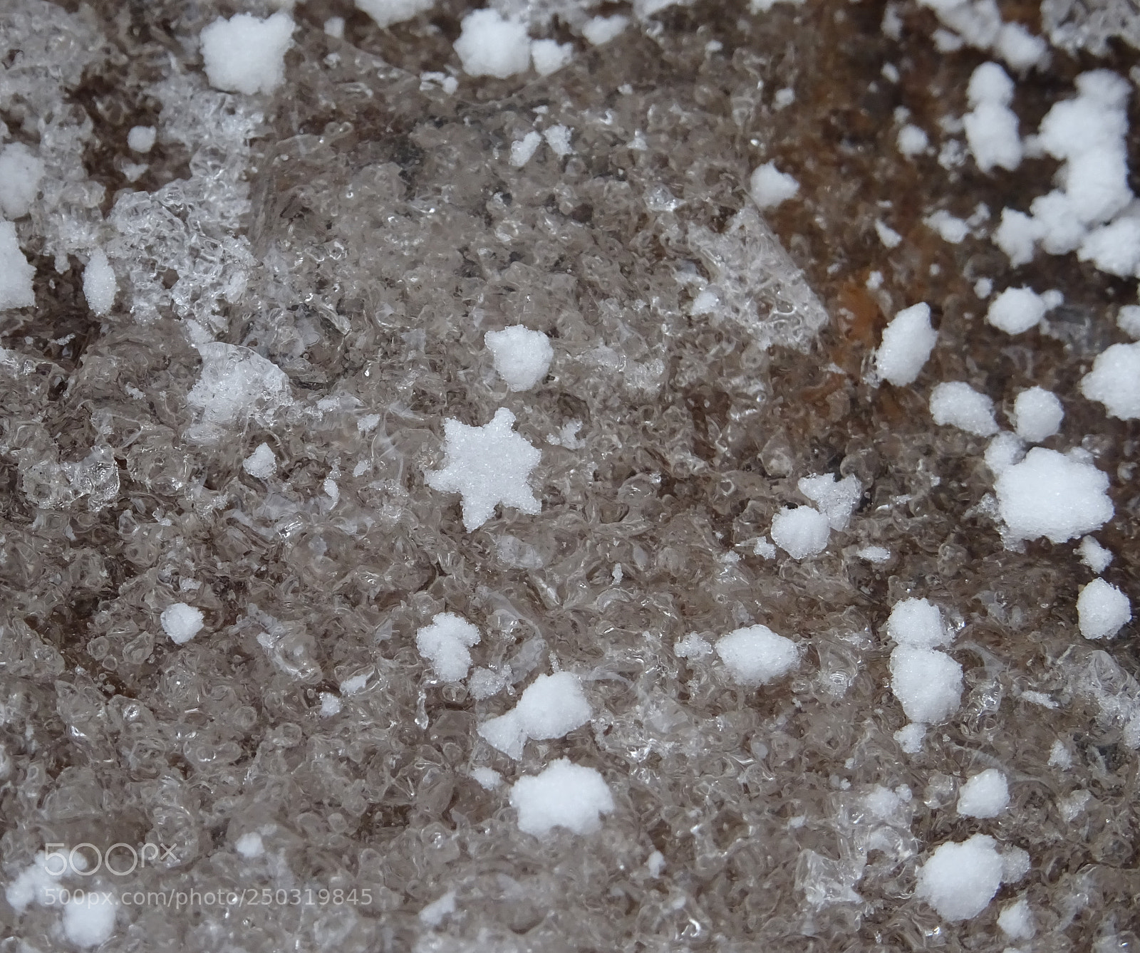 Sony DSC-HX60V sample photo. Be a star in photography