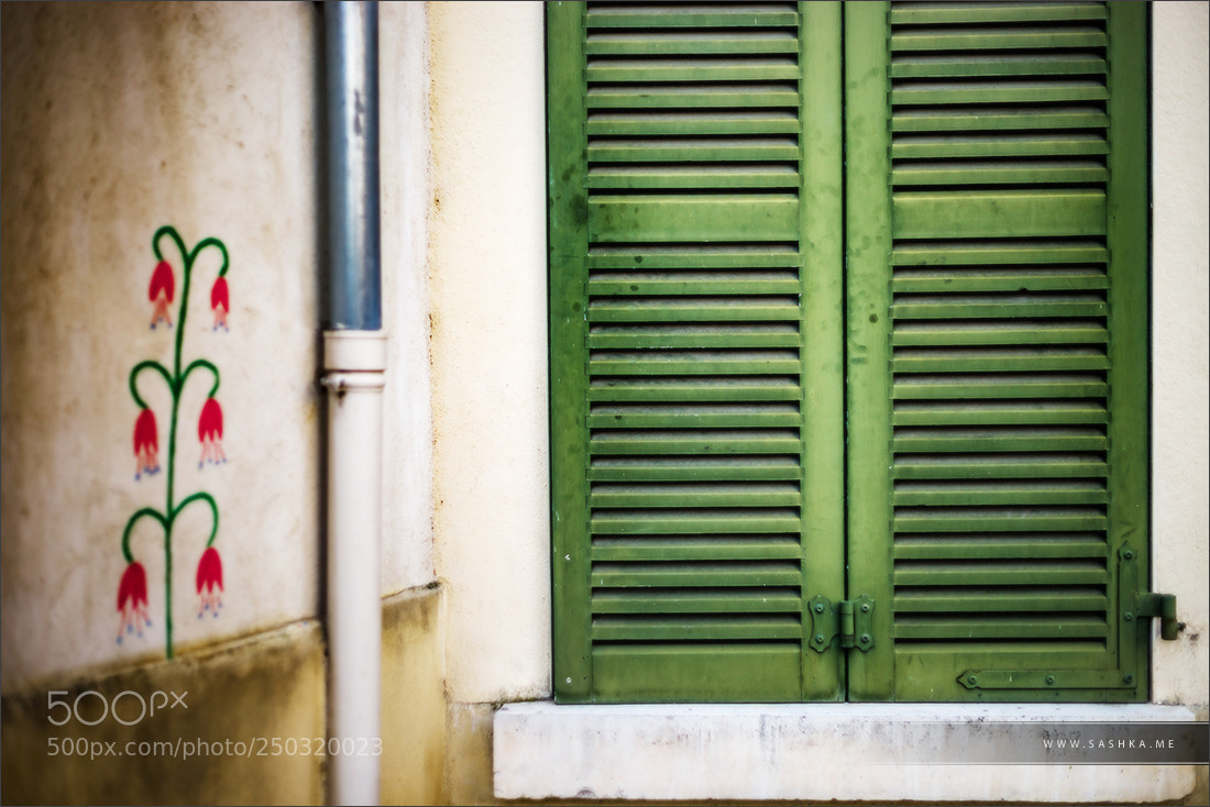 Sony a99 II sample photo. Closed window with green photography
