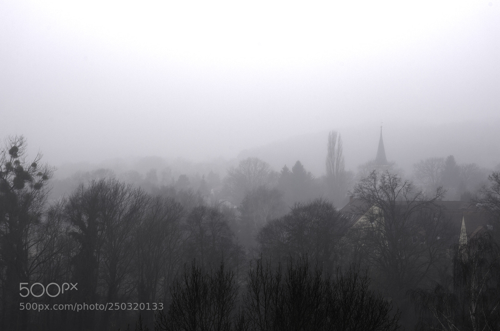 Nikon D5100 sample photo. Foggy day photography