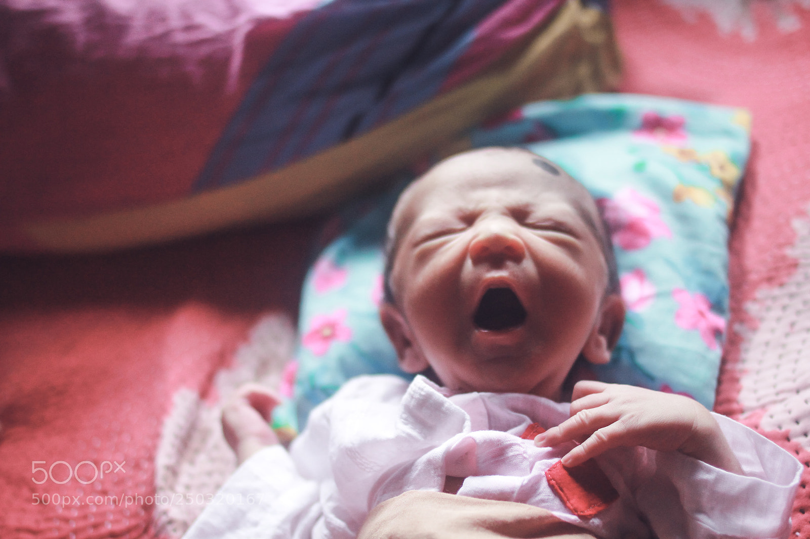 Canon EOS 60D sample photo. My nephew photography