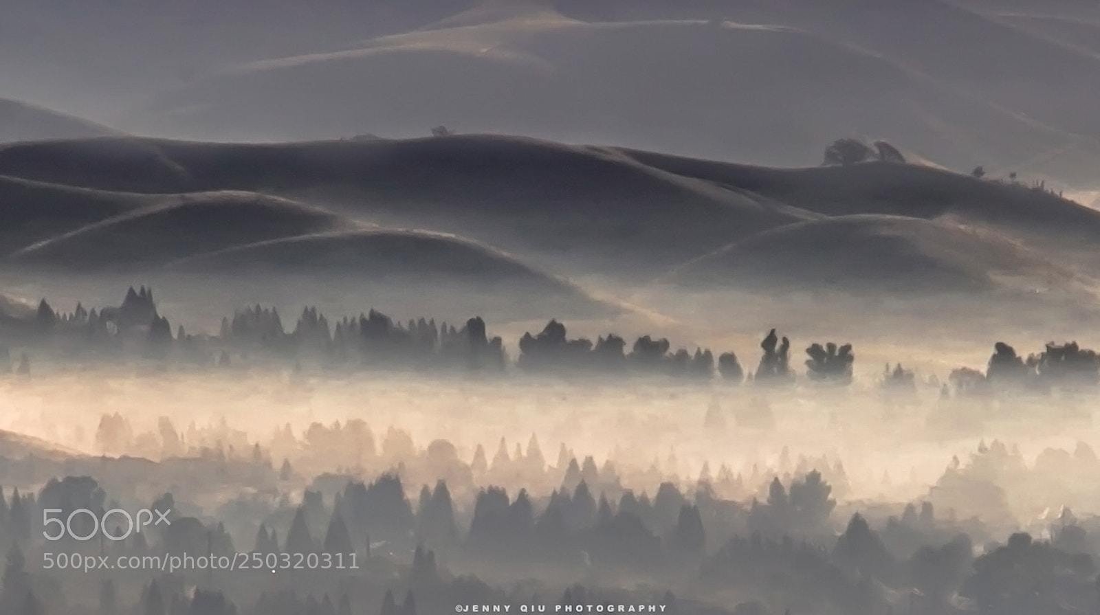 Canon EOS 5D Mark IV sample photo. A foggy morning at photography