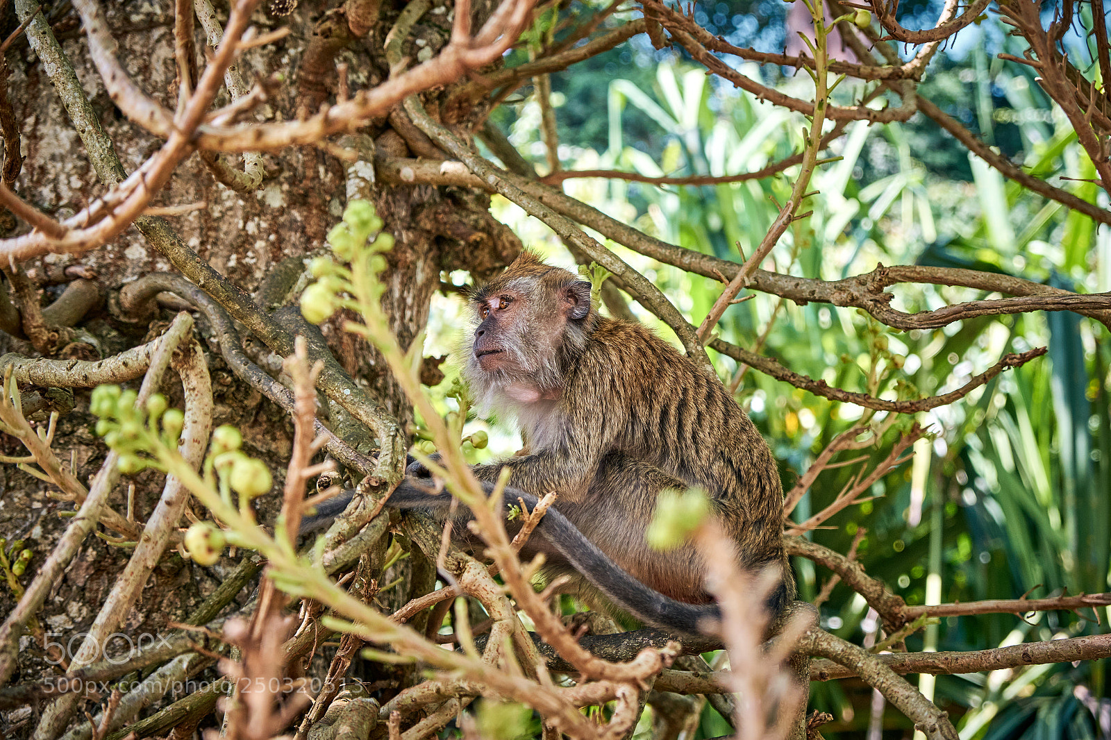 Fujifilm X-Pro1 sample photo. 2018-02-11 06.22.02.jpg photography