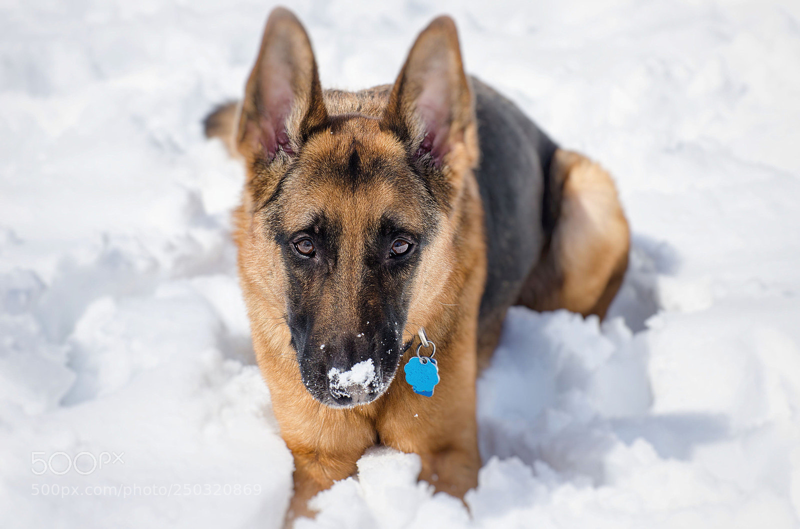 Nikon D7000 sample photo. "what?" photography