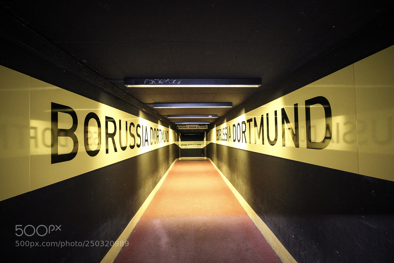 Canon EOS 600D (Rebel EOS T3i / EOS Kiss X5) sample photo. Players tunnel photography