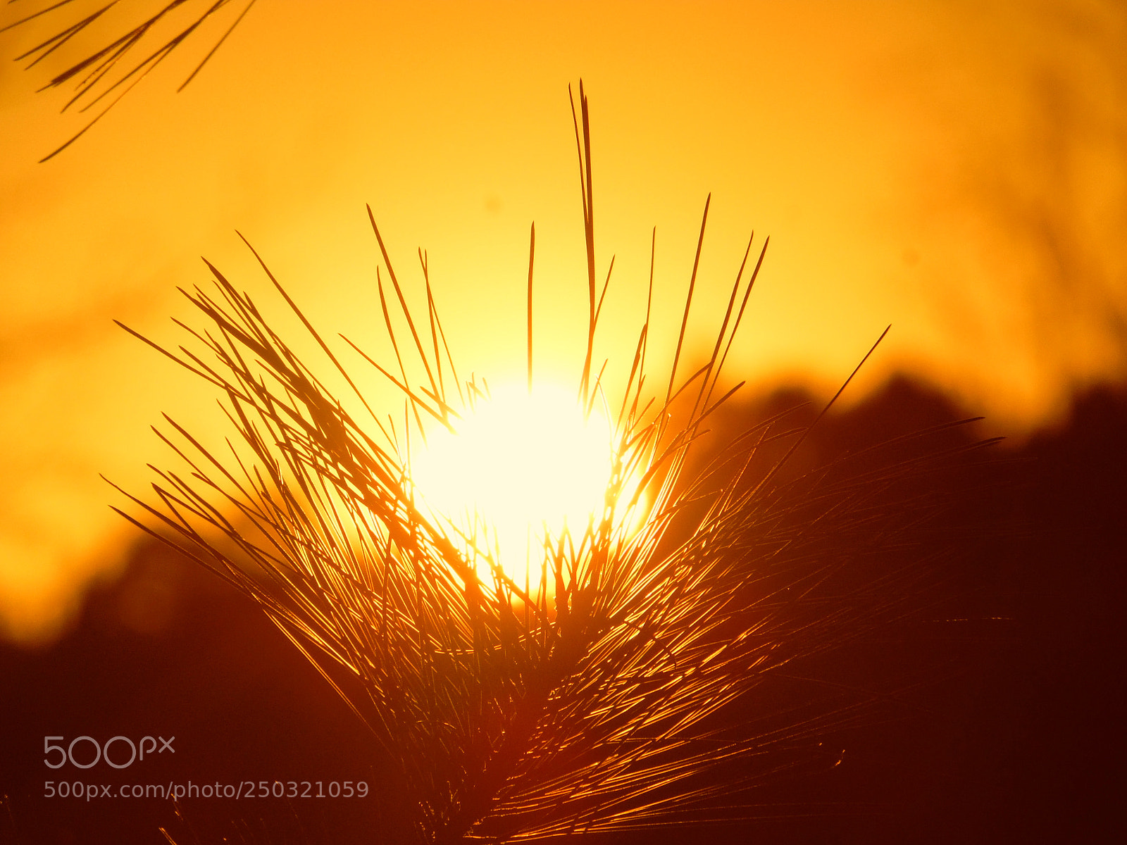 Samsung WB1100F/WB1101F/WB1102F sample photo. Sunset photography