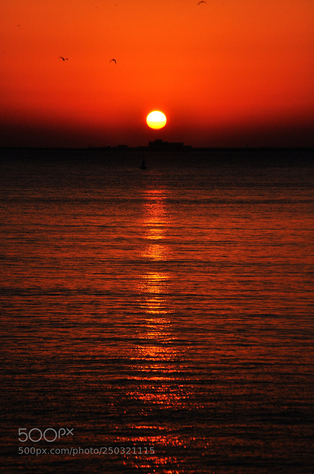Nikon D90 sample photo. Sunset photography