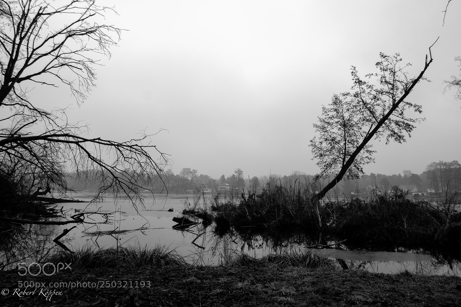 Fujifilm X-Pro1 sample photo. Lake photography