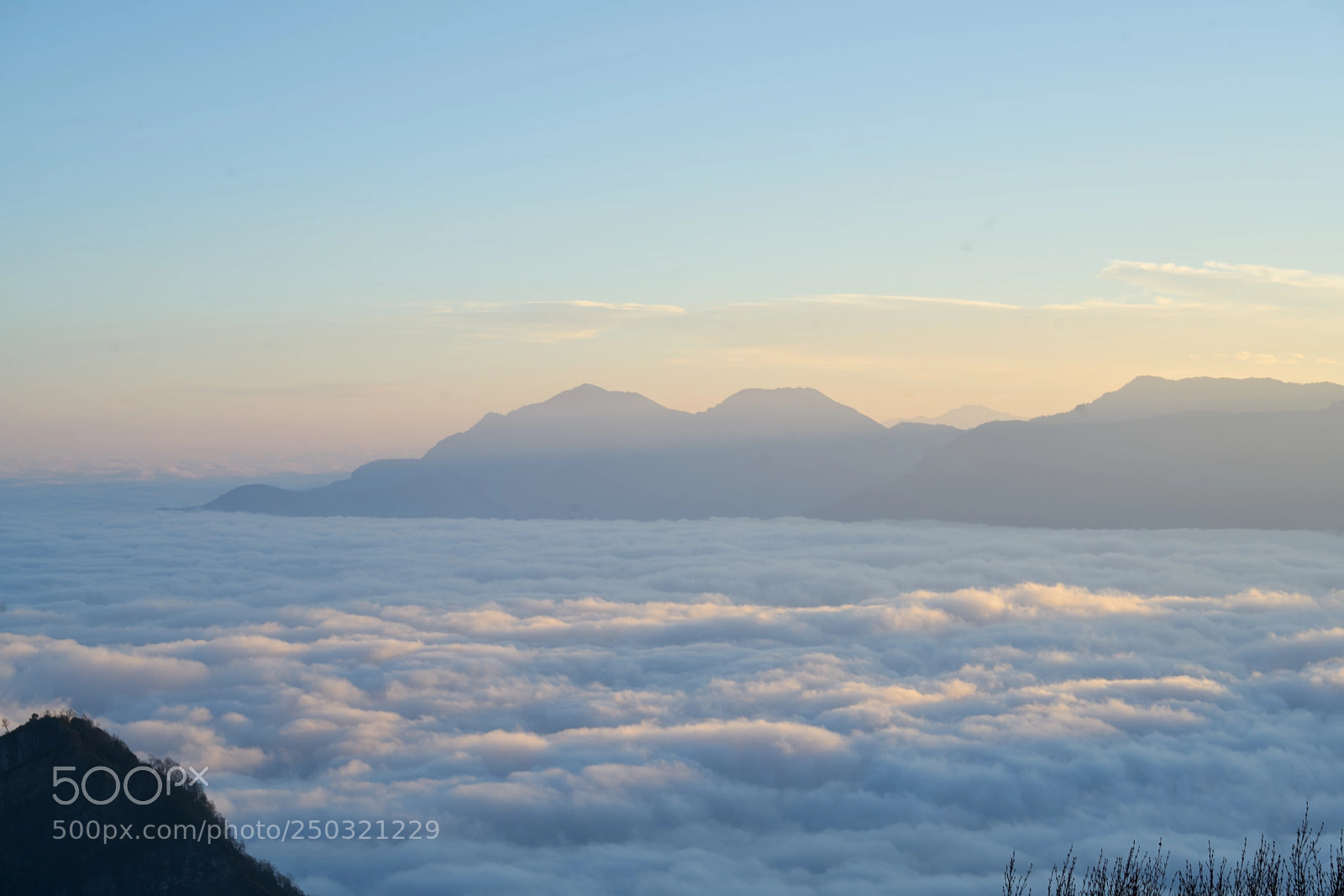 Sony a7R II sample photo. Untitled photography