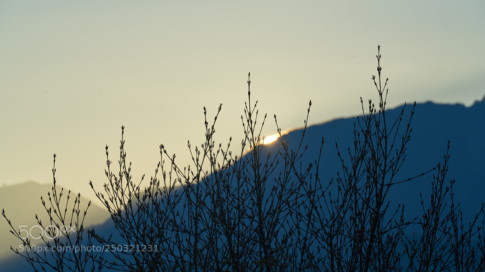 Sony a7R II sample photo. Untitled photography