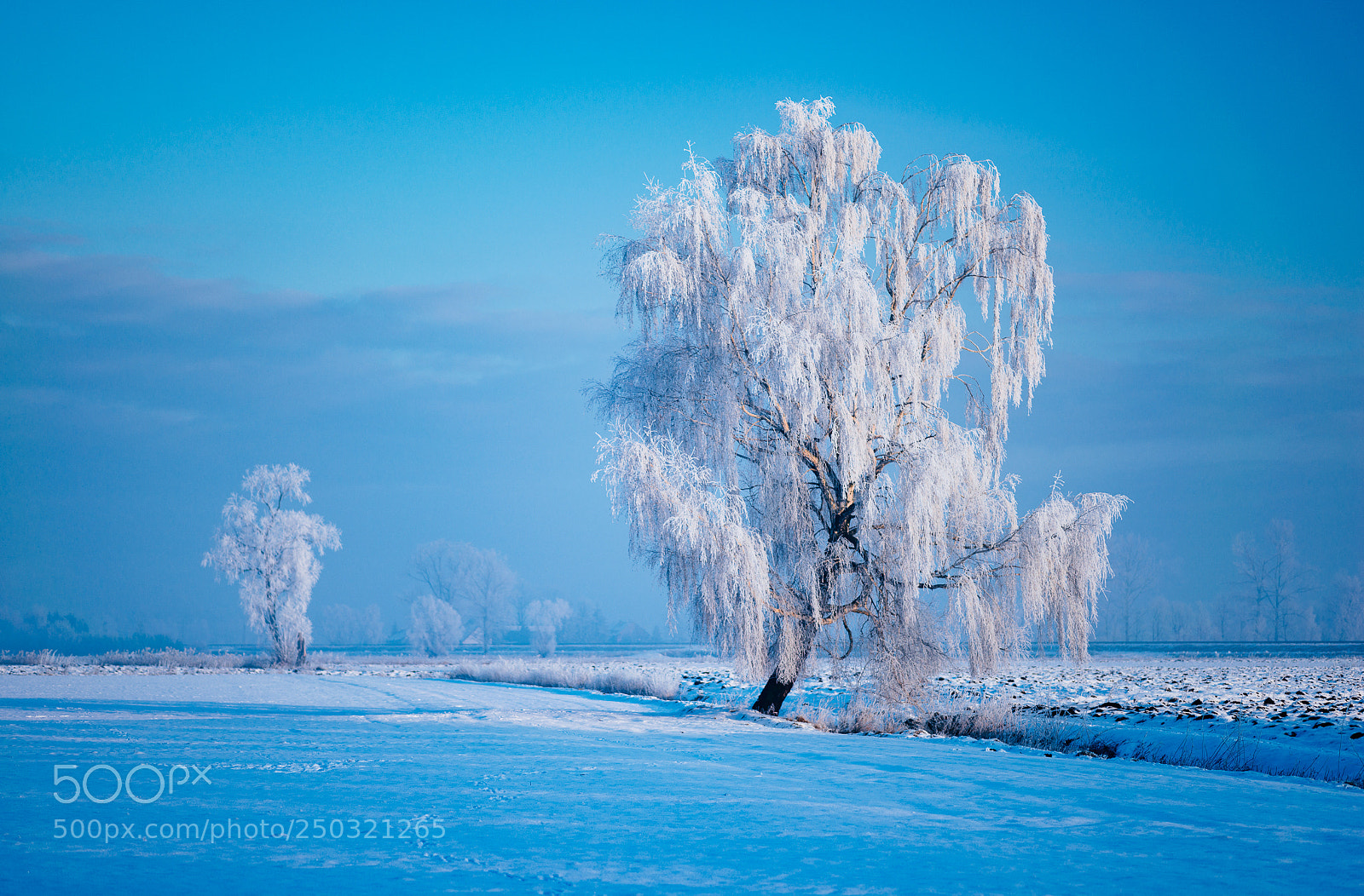 Nikon D800 sample photo. Winter in ledowo photography
