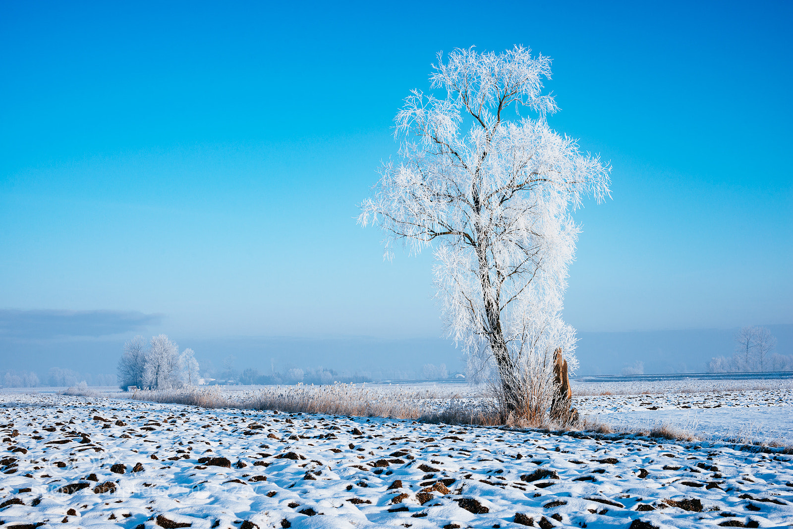 Nikon D800 sample photo. Winter in ledowo photography