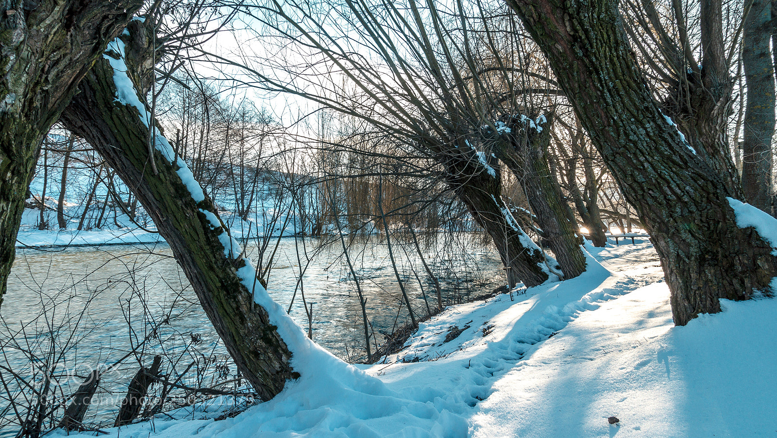 Canon EOS 7D sample photo. Untitled photography