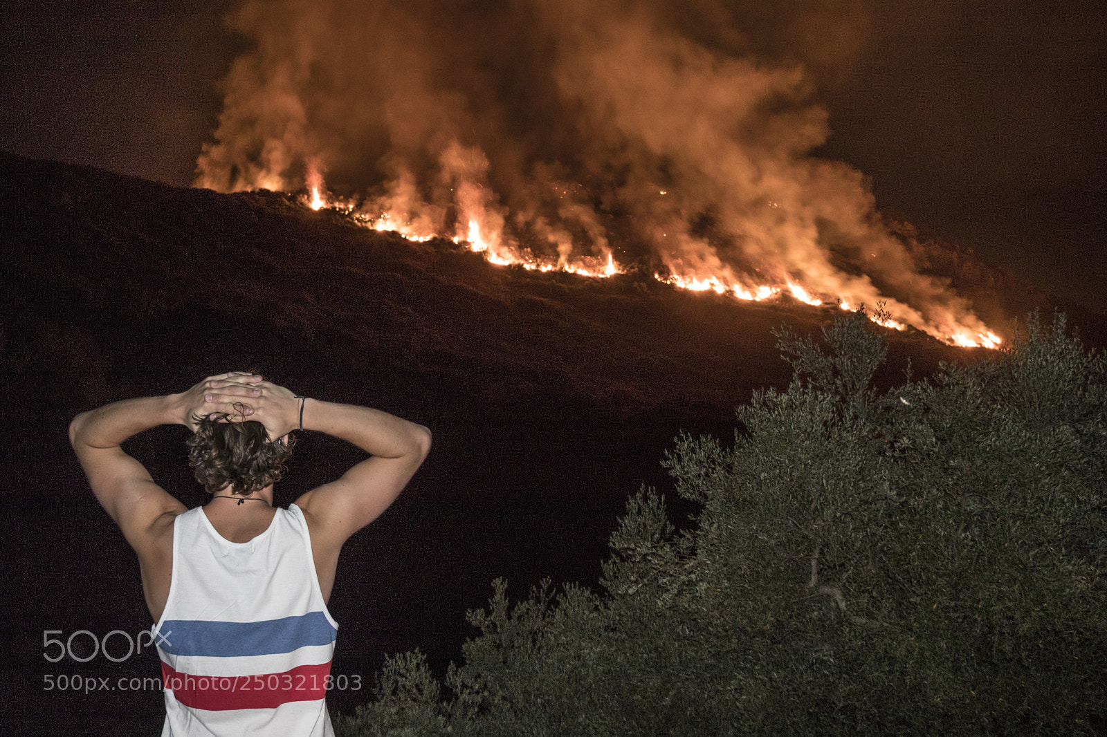 Canon EOS 80D sample photo. Bush fire photography