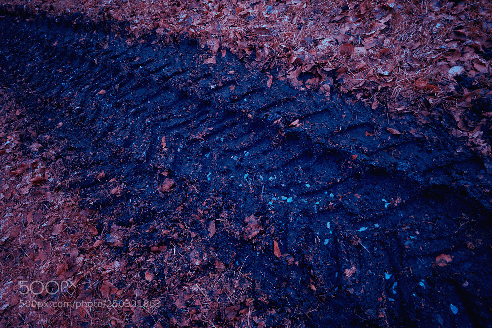 Sony a7 sample photo. Tire track in the photography