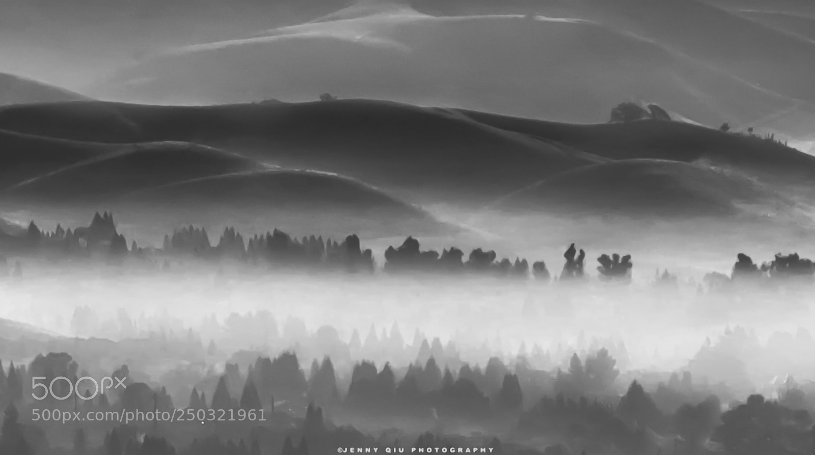 Canon EOS 5D Mark IV sample photo. Morning mist photography