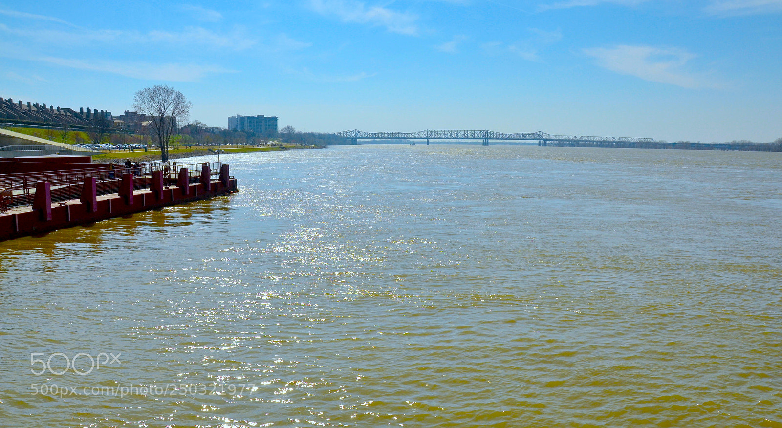 Nikon D3100 sample photo. Mississipi view photography