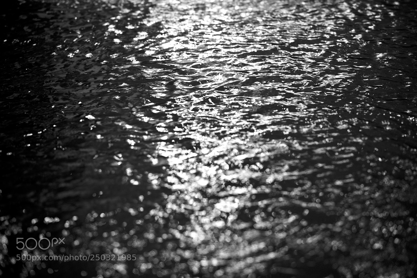 Nikon D5 sample photo. Reflejo2 photography