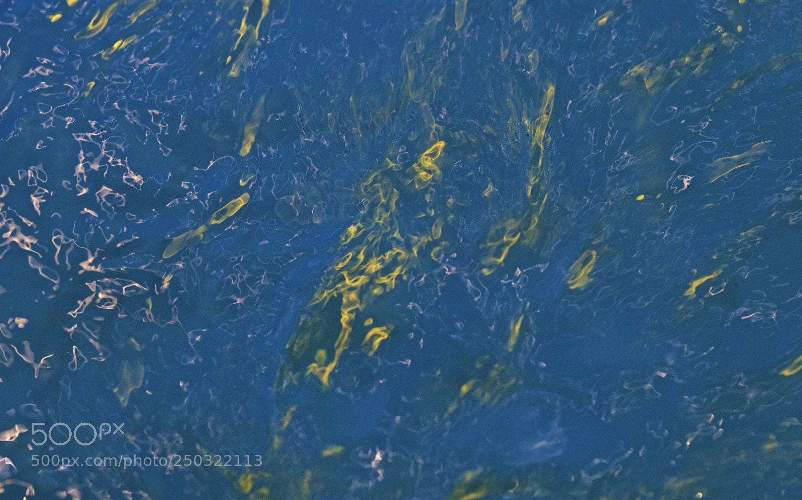 Nikon D5 sample photo. Reflex color photography