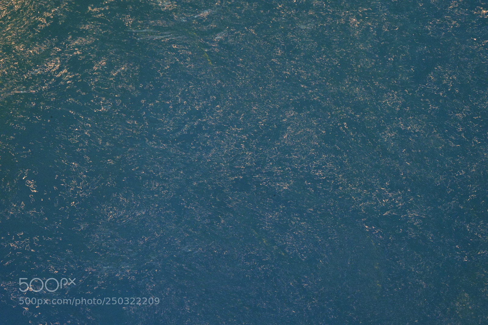 Nikon D5 sample photo. Reflex color 2 photography
