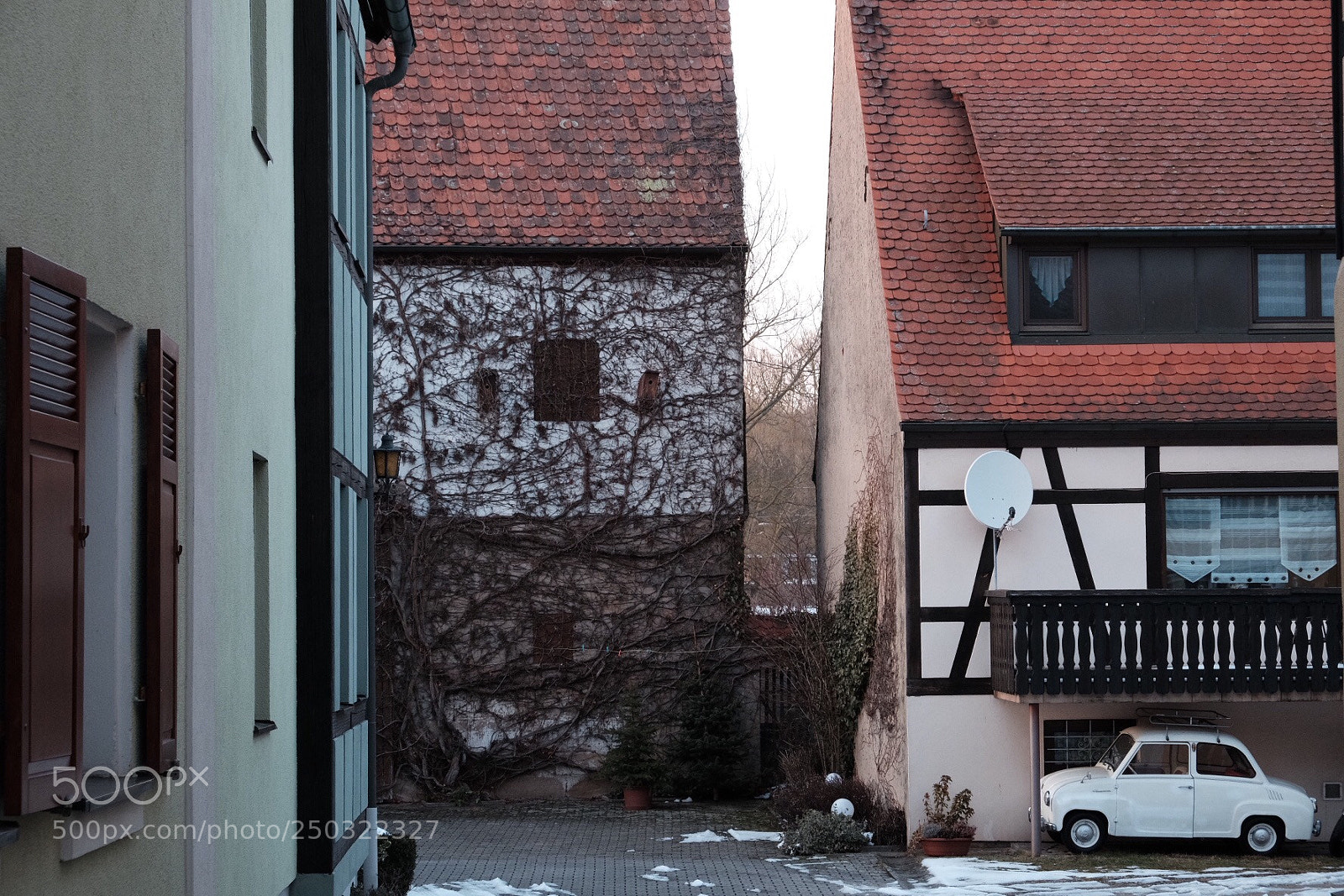 Fujifilm X-T10 sample photo. Look who‘s hiding  photography