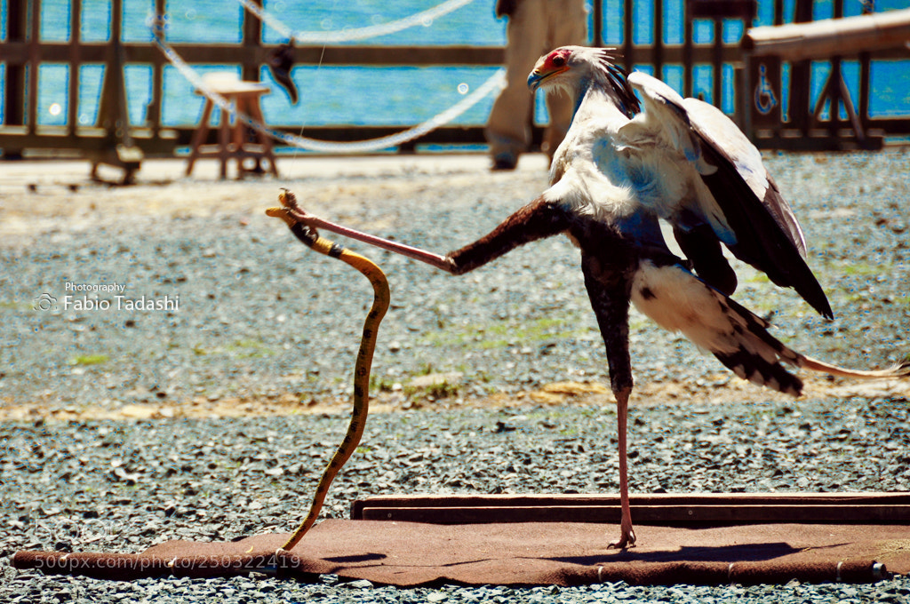 Nikon D90 sample photo. Untitled photography