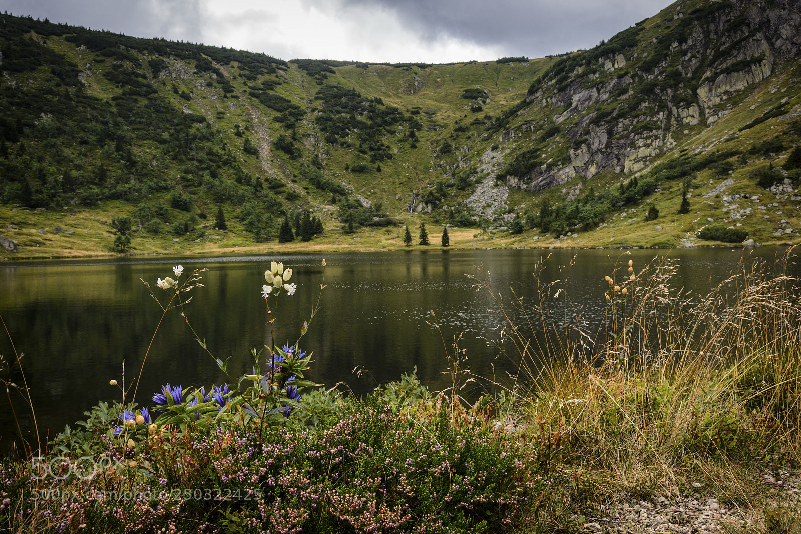Nikon D7100 sample photo. Mountain lake photography