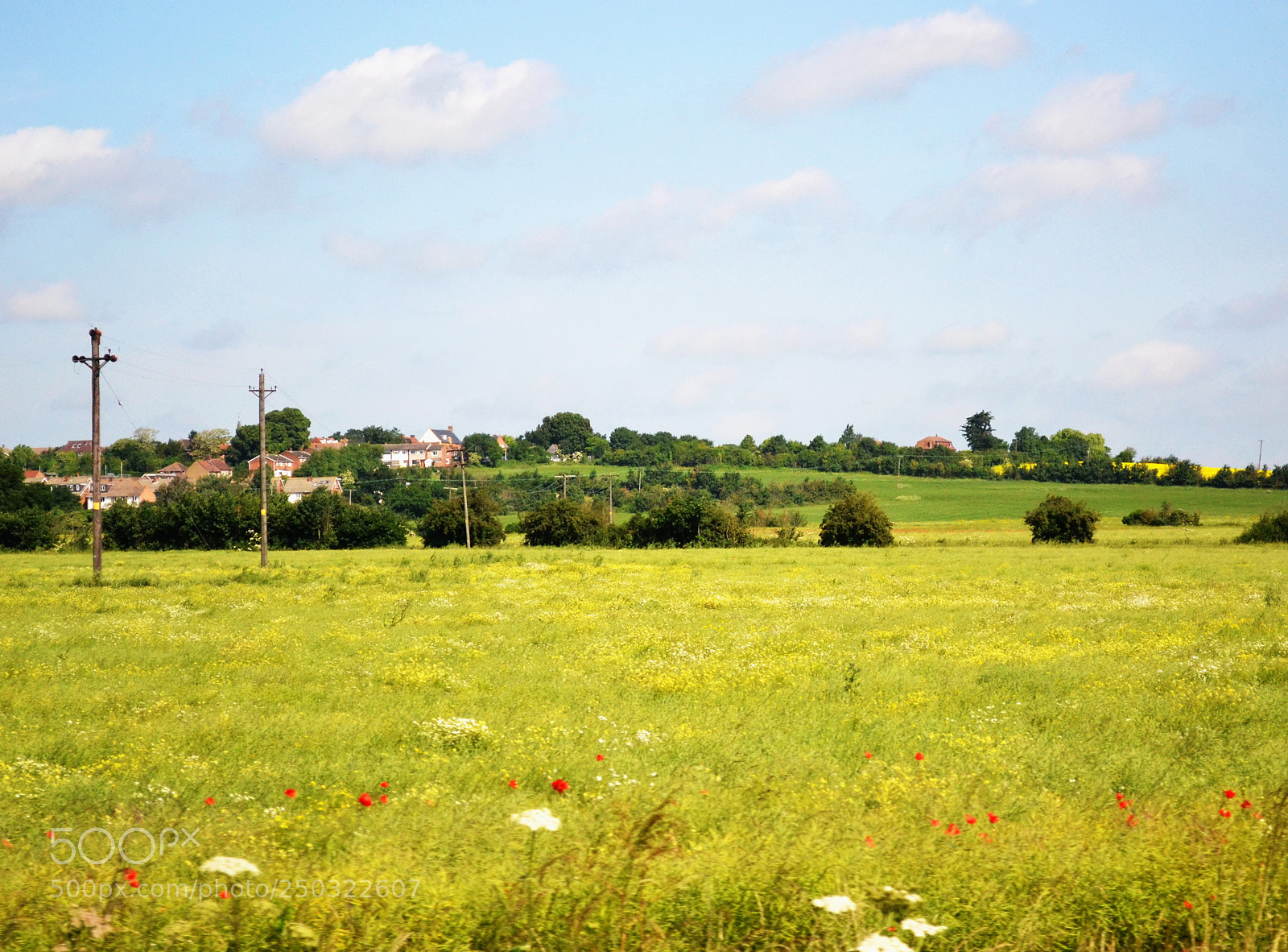 Nikon D3100 sample photo. '... time is now photography
