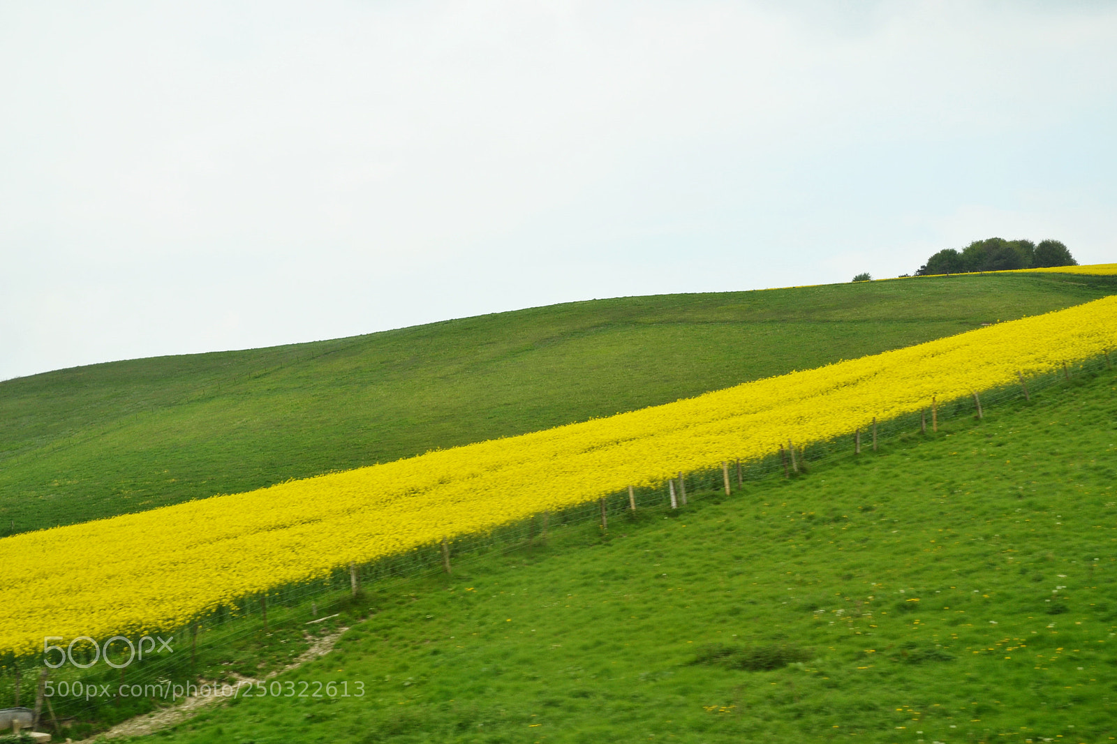 Nikon D3100 sample photo. '... time is now photography
