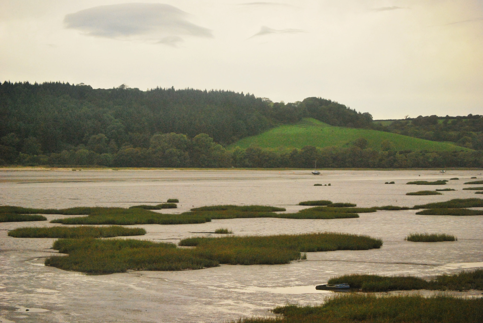 Nikon D60 sample photo. '... time is now and england' photography