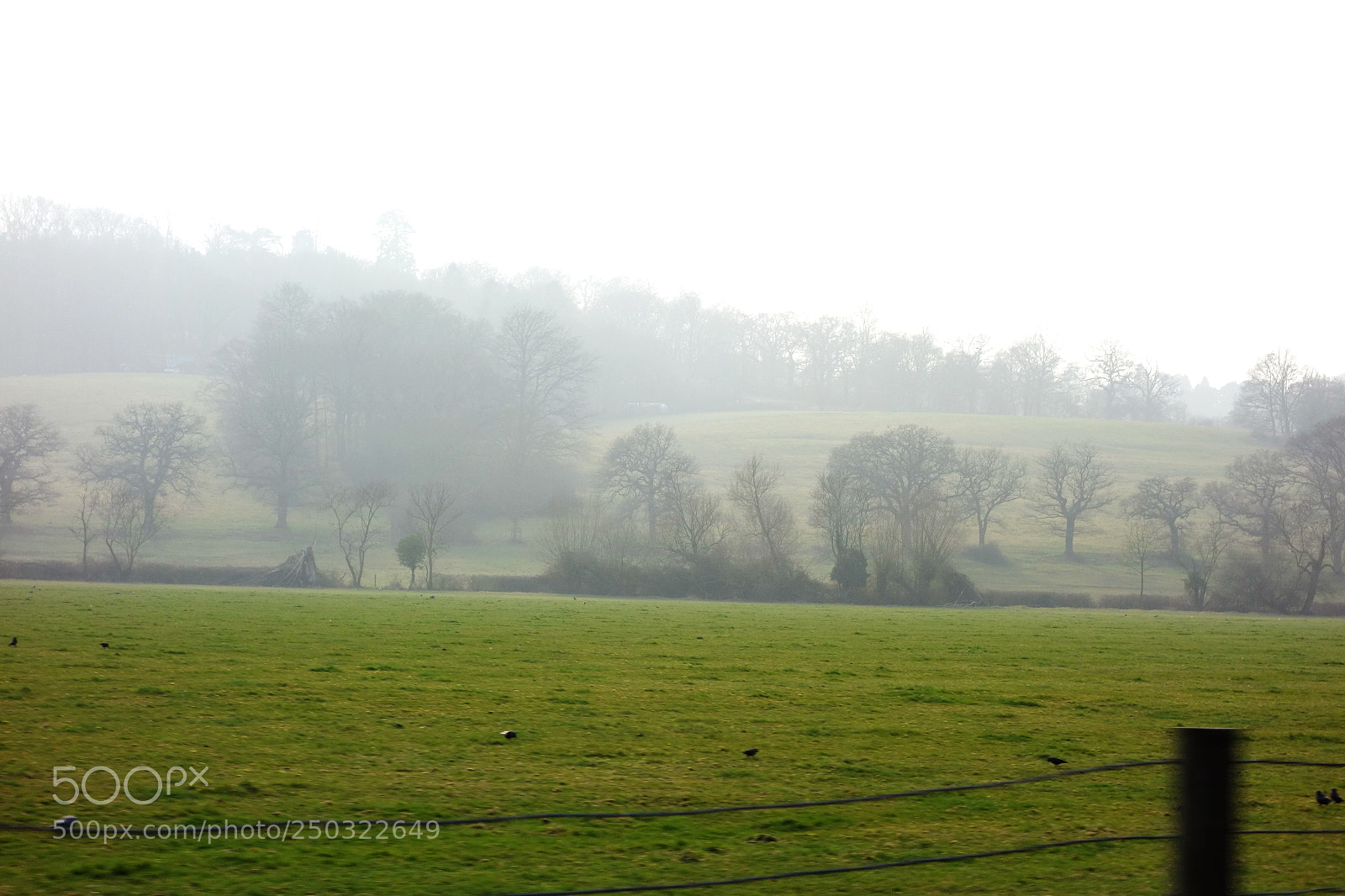 Sony Cyber-shot DSC-RX100 sample photo. '... time is now photography