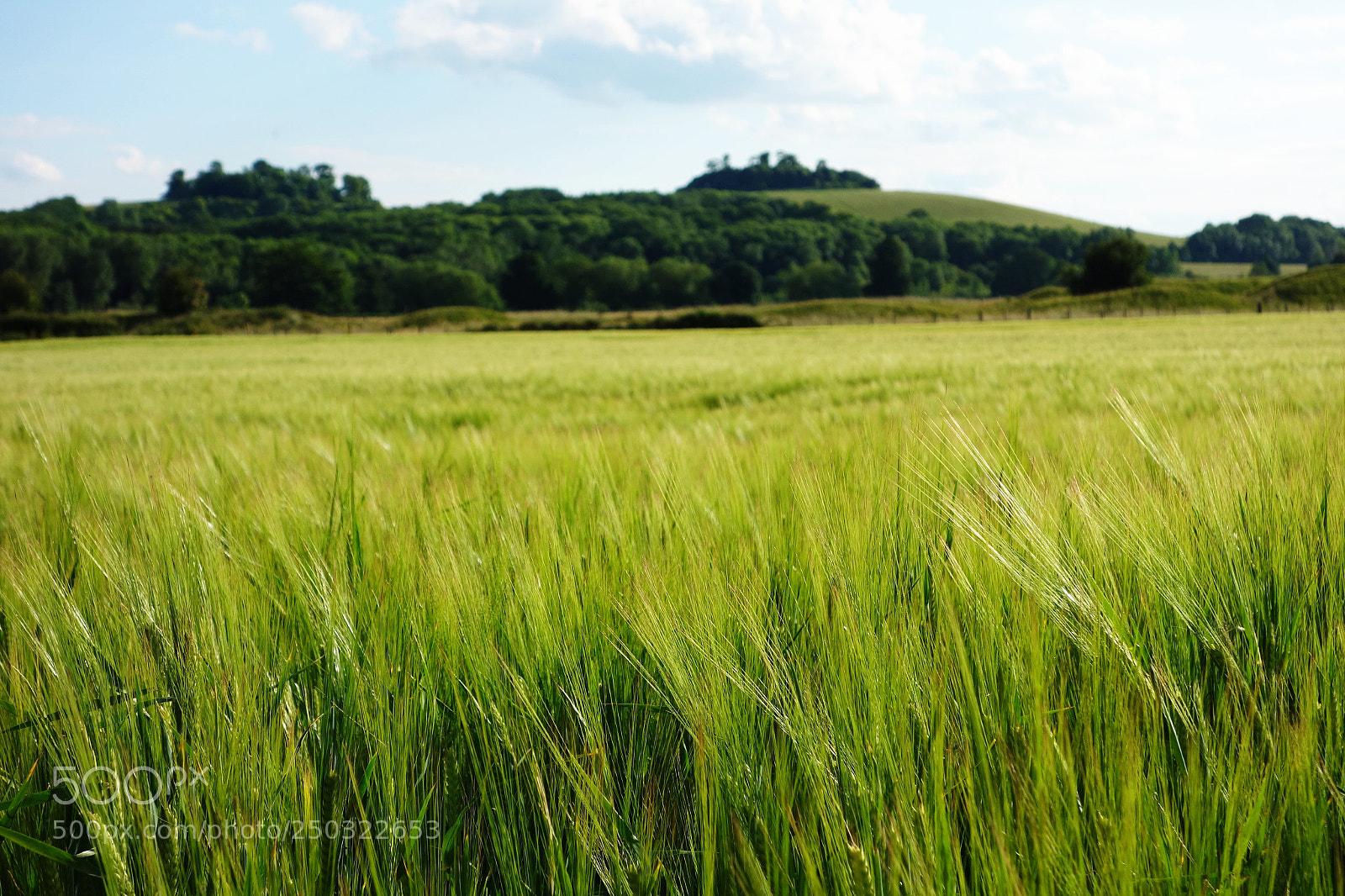 Sony Cyber-shot DSC-RX100 sample photo. '... time is now photography