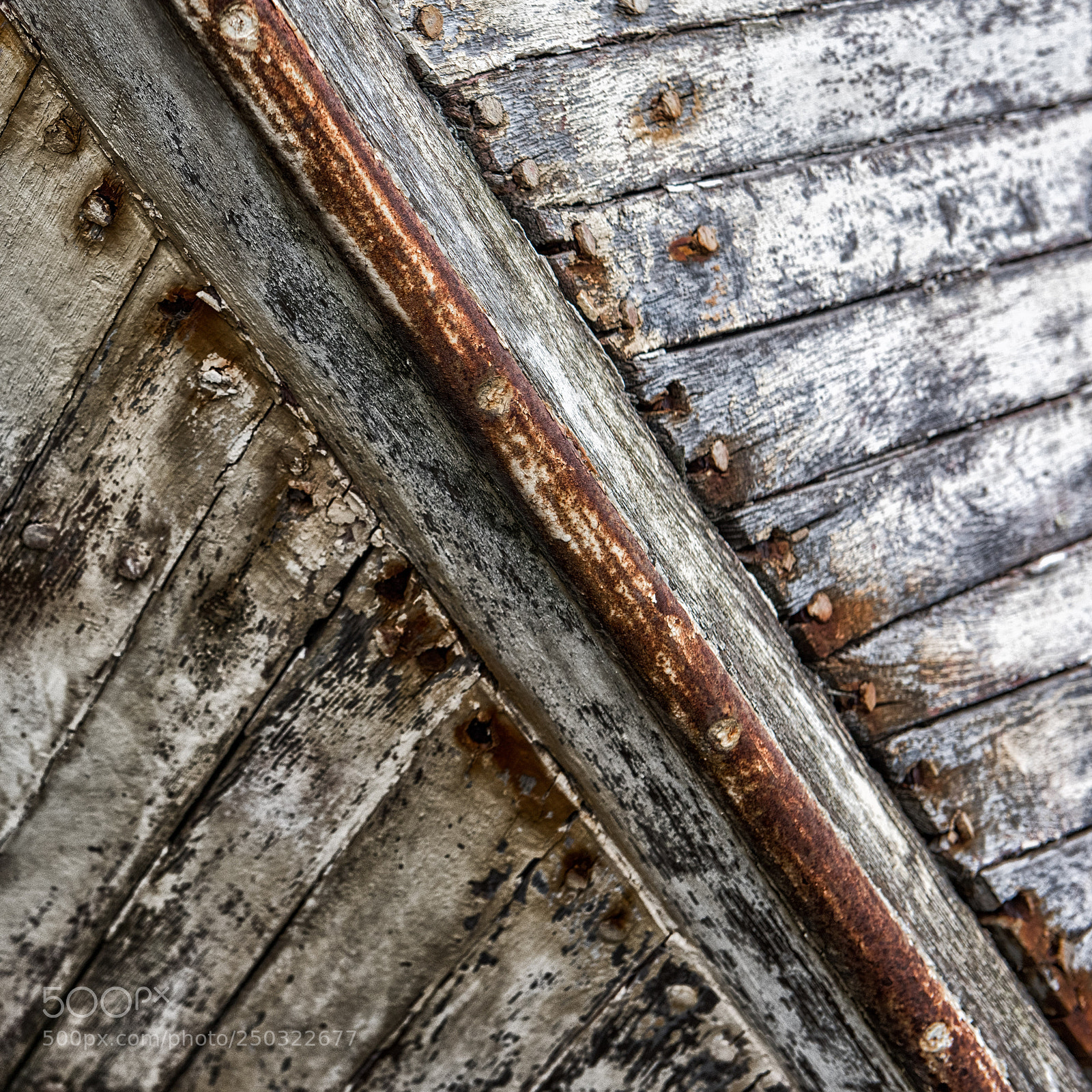 Nikon D810 sample photo. Coque photography