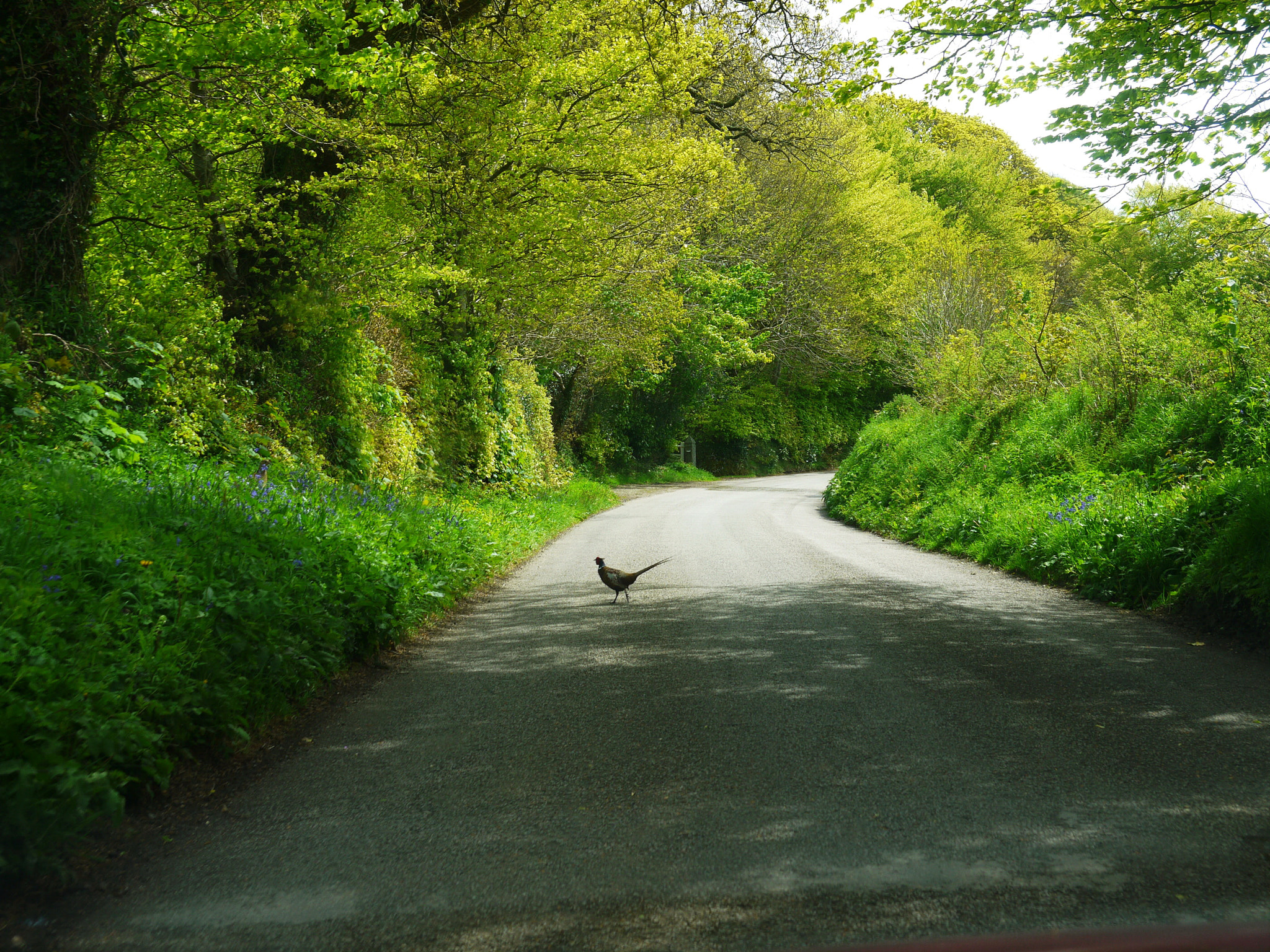 Panasonic Lumix DMC-GF3 sample photo. '... time is now and england' photography